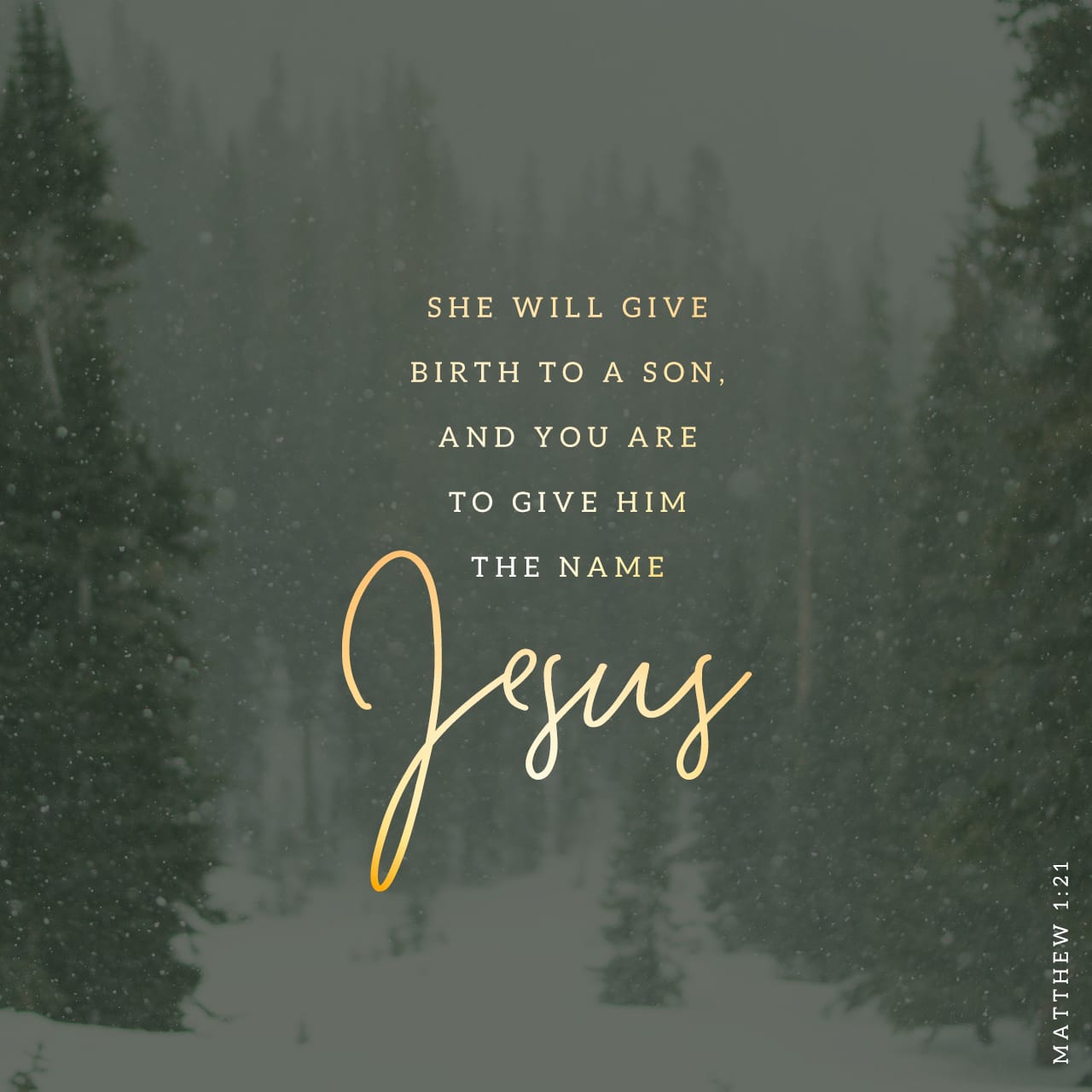 Matthew 1:21 She will give birth to a son, and you are to give him the ...