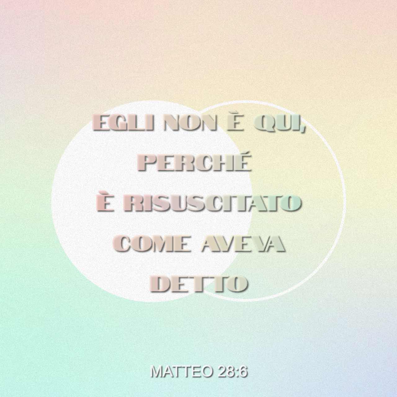 È risorto - Matteo 28:6 - Immagine Versetto