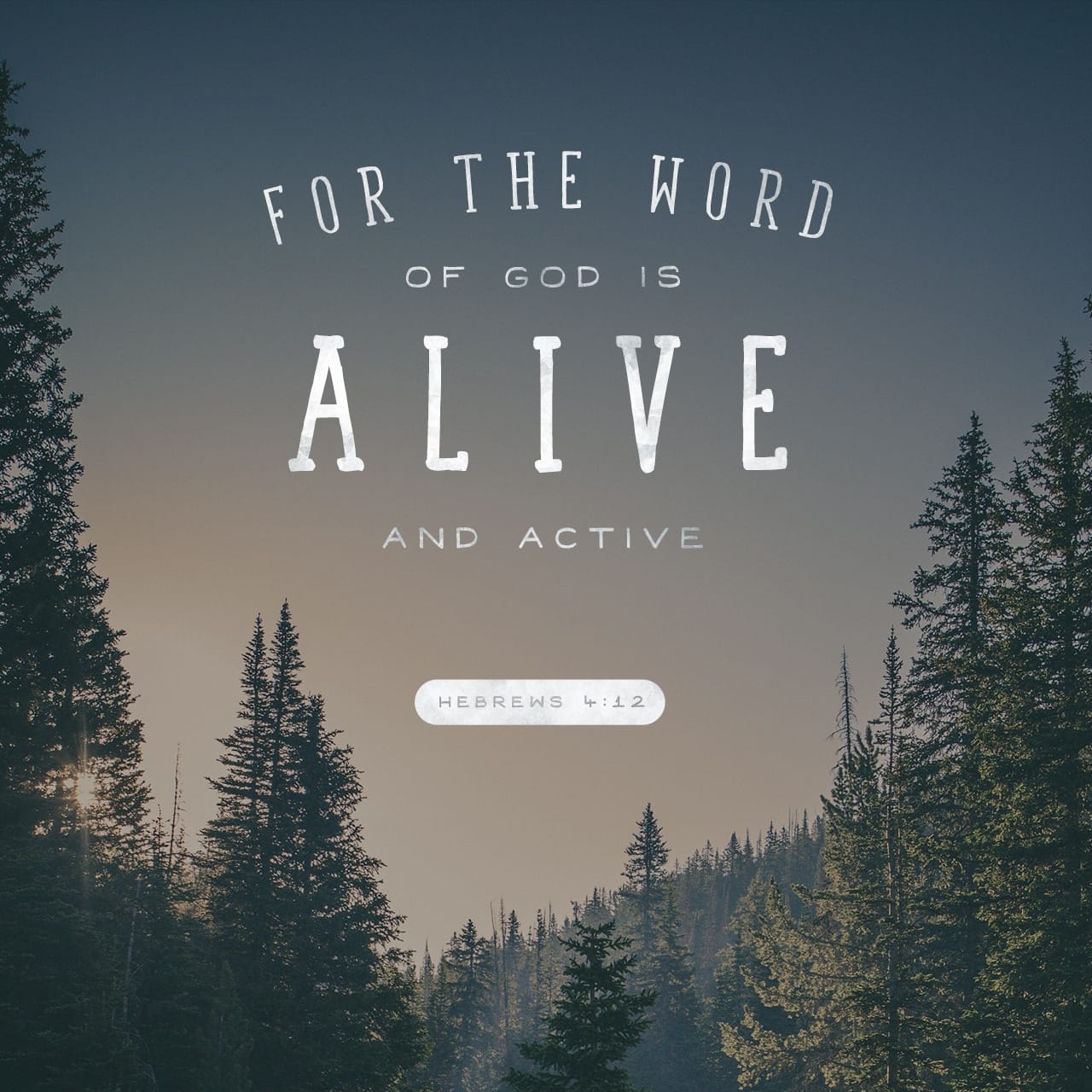 Hebrews 4 12 For The Word Of God Is Living And Powerful And Sharper 