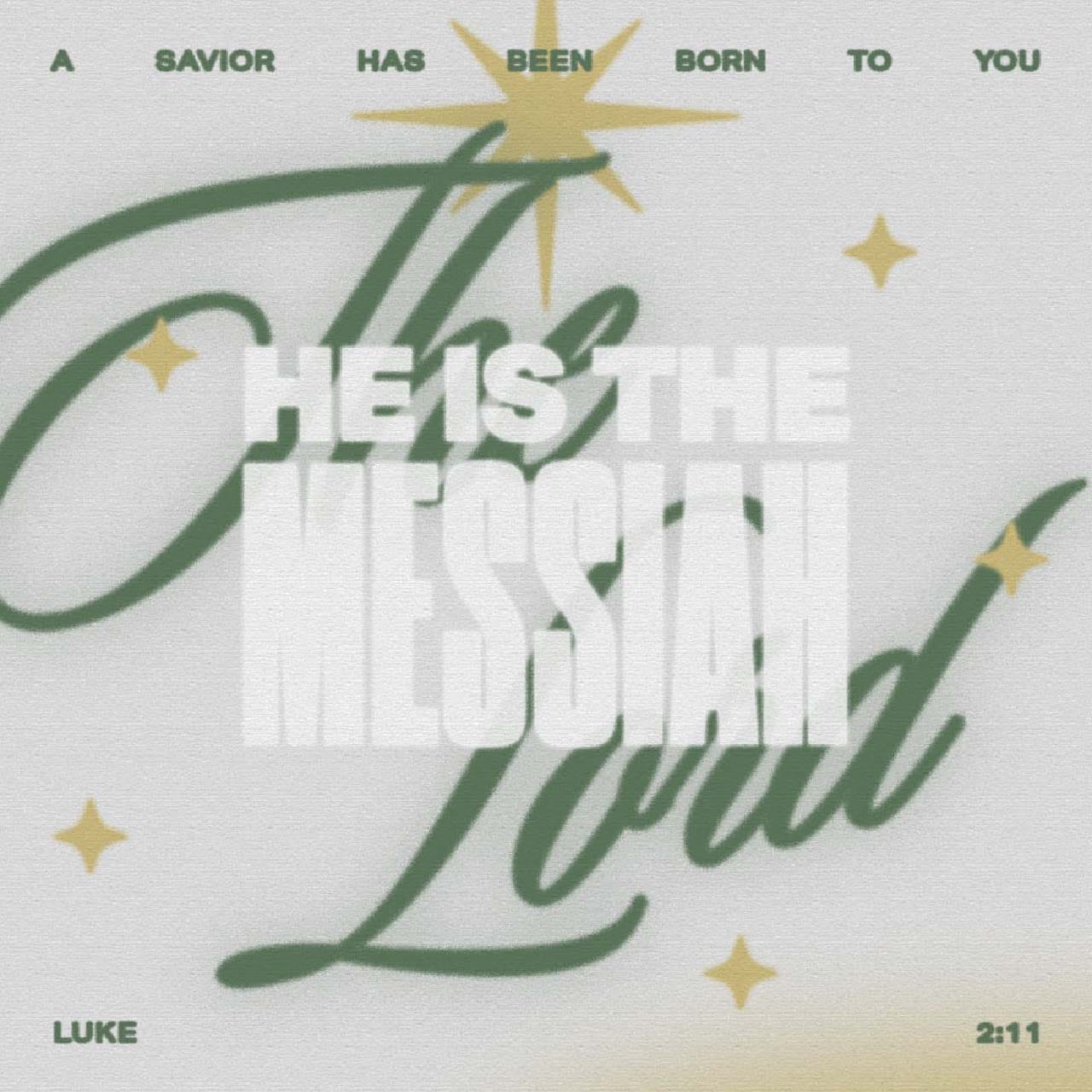 A Savior has been born to you; he is the Messiah, the Lord. - Luke 2:11 Verse Image