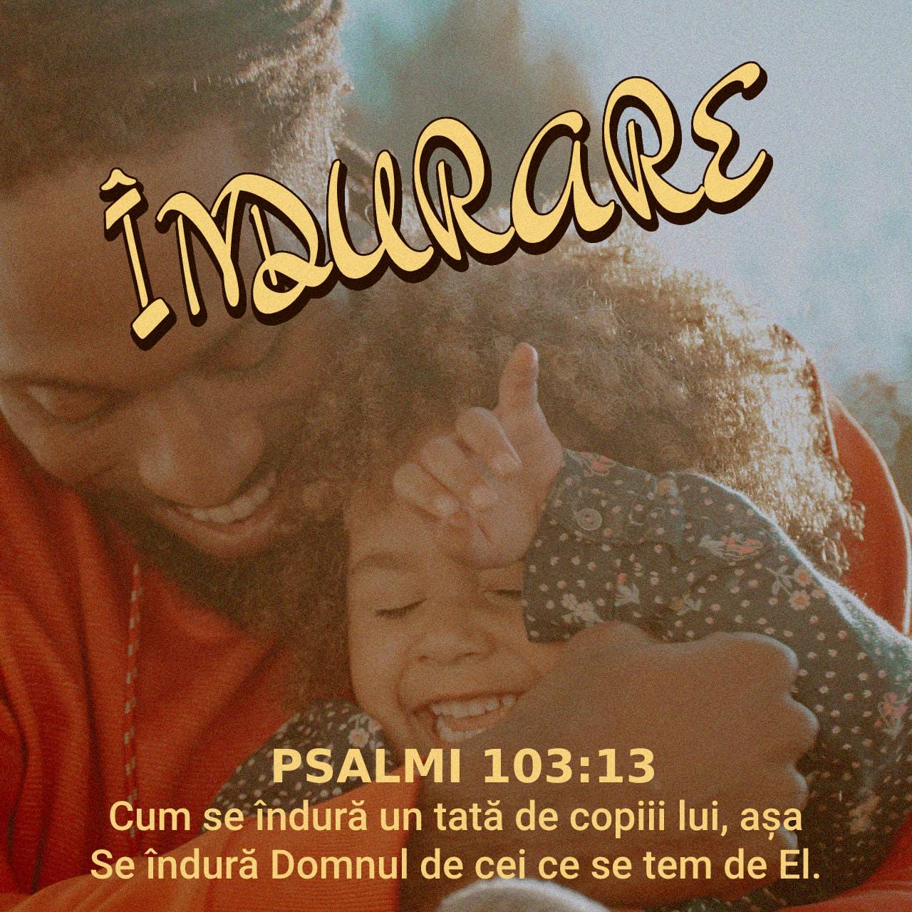 Precum un tată are milă de copiii săi, tot așa are milă Domnul de cei ce se tem de El - Psalmi 103:13 - Verset ilustrat