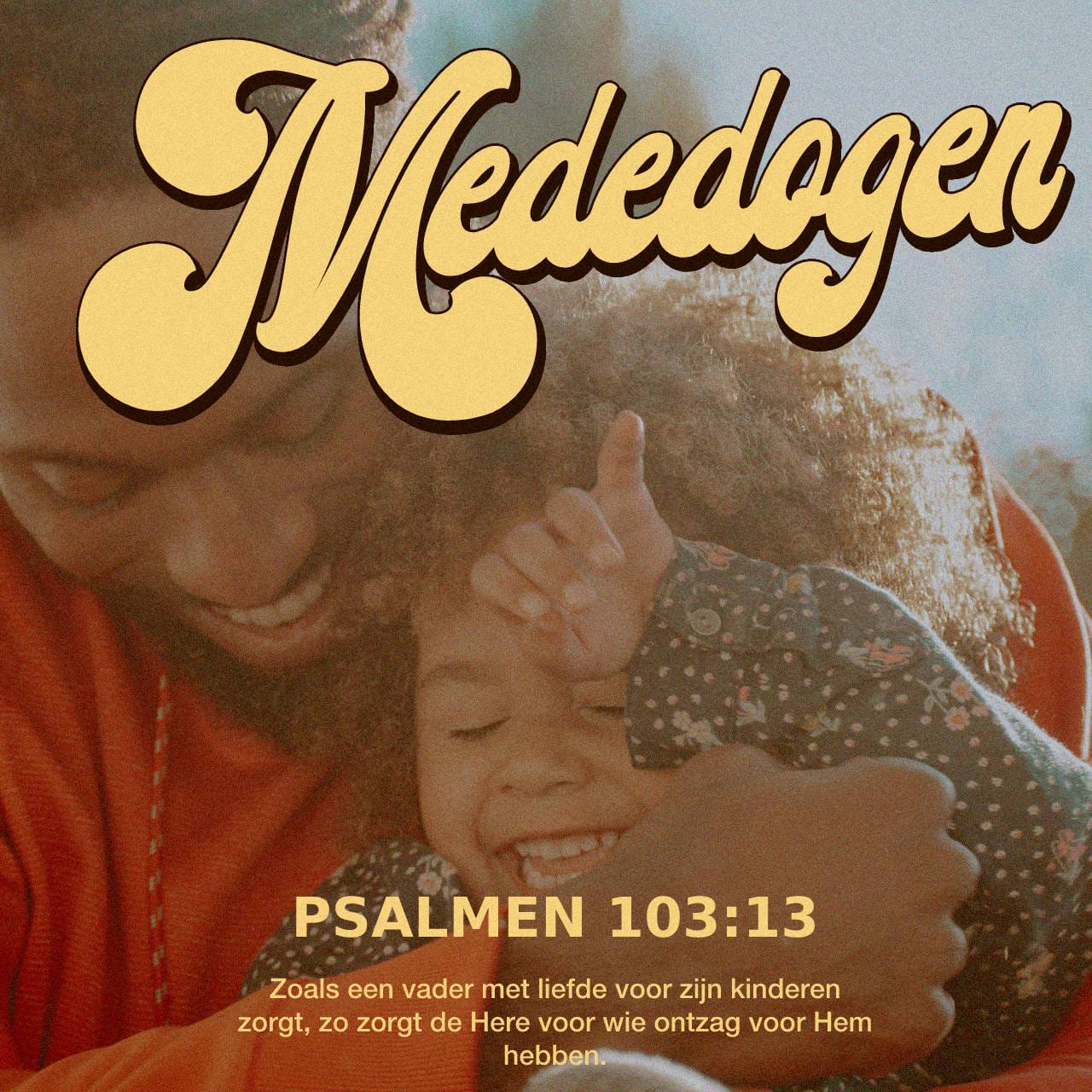 Zoals een vader met liefde voor zijn kinderen zorgt, zo zorgt de HERE voor wie ontzag voor Hem hebben. Psalm 103:13 - versafbeelding