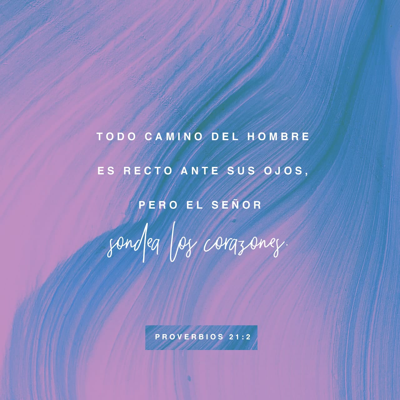 Proverbios 21:2 Todo camino del hombre es recto en su propia opinión ...