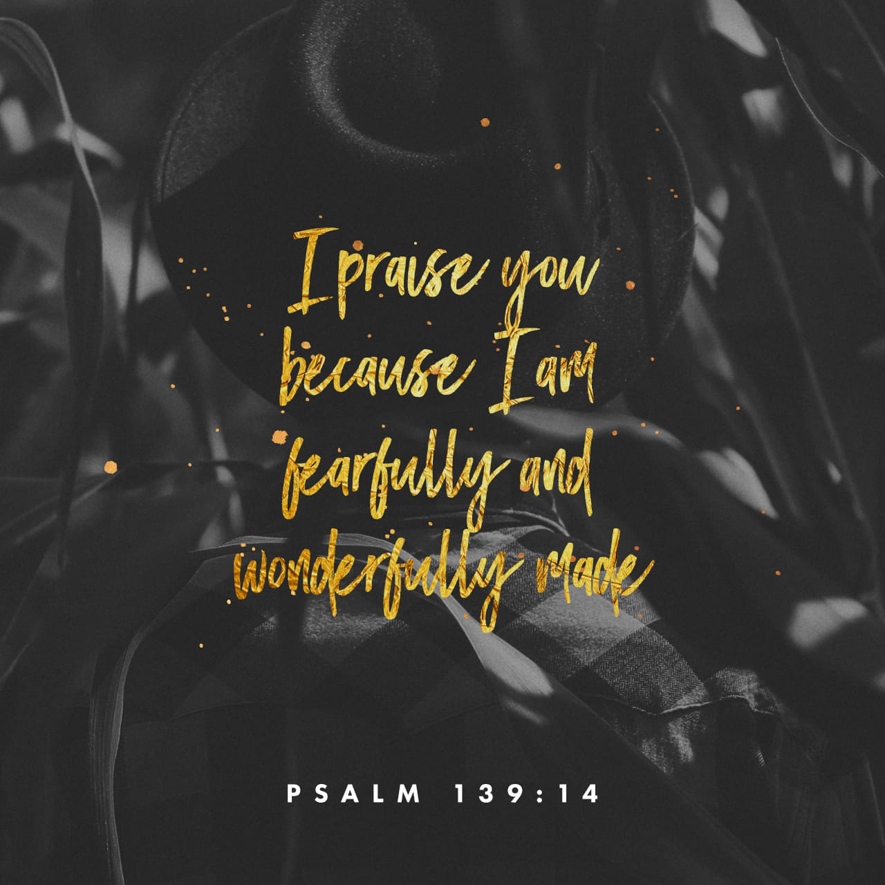 Psalms 13913 For you created my inmost being; you knit me together in