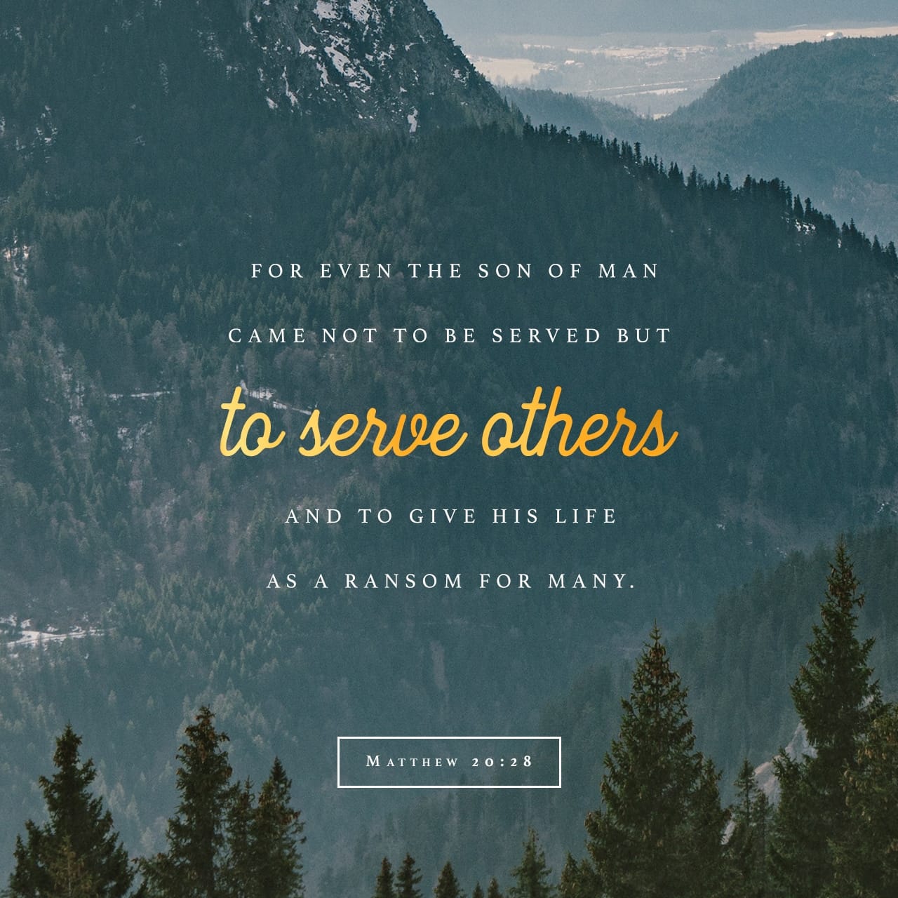 Matthew 20 26 28 Not So With You Instead Whoever Wants To Become 