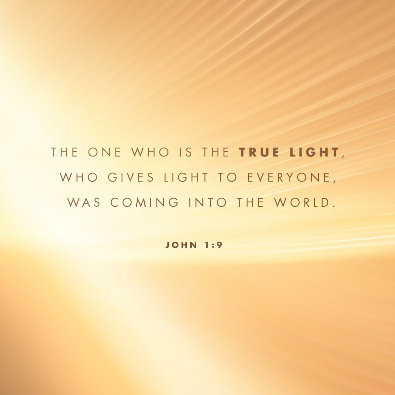 John 1:1-18 In The Beginning Was The Word, And The Word Was With God ...