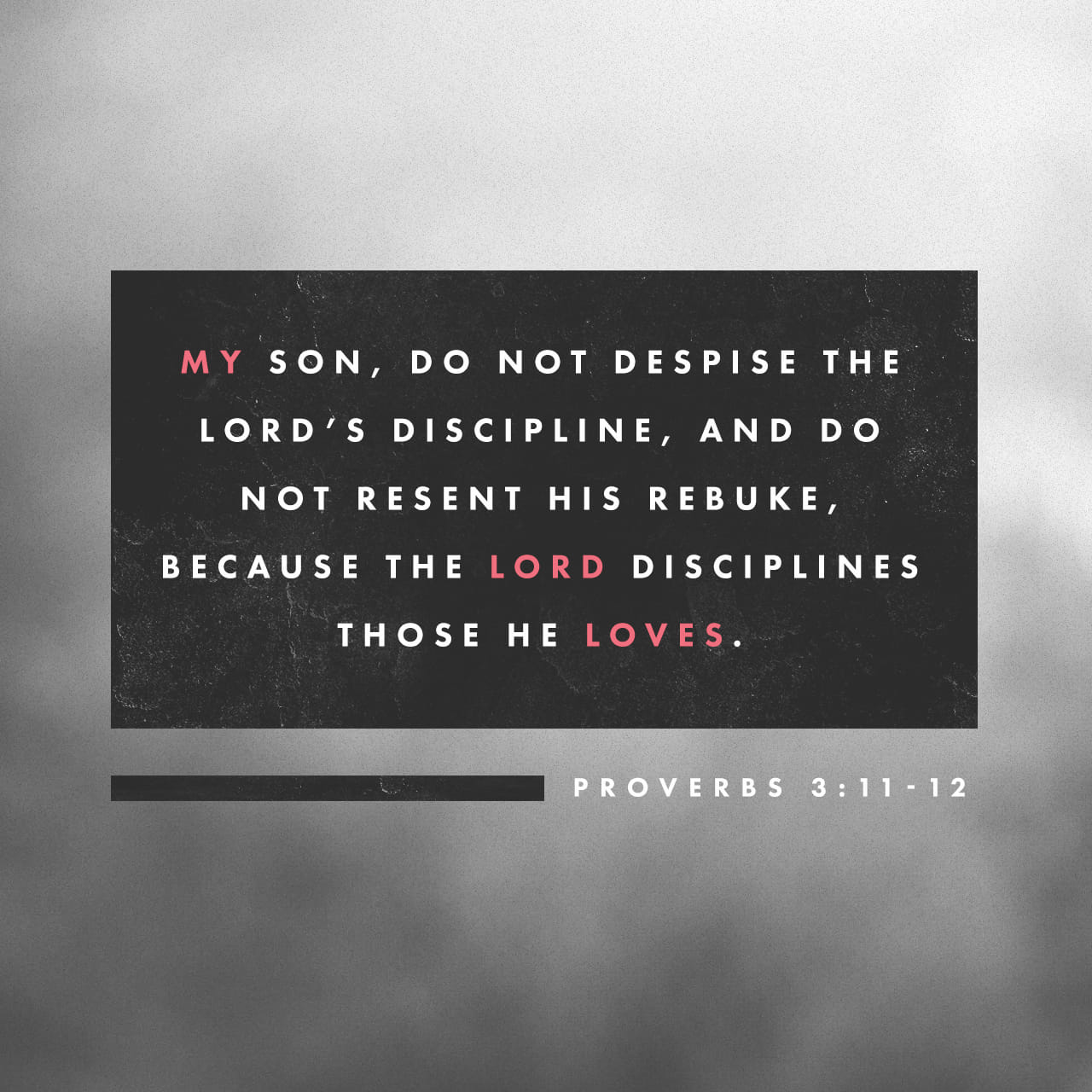 Proverbs 3 11 My Son Do Not Despise The LORD s Discipline And Do Not