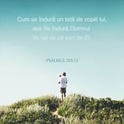 Versbild für Psalm 103,13