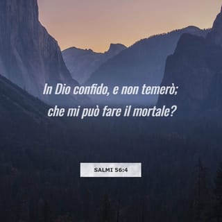 scaricare la bibbia nuova riveduta da