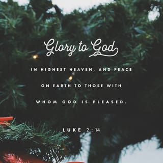 Image result for Luke 2:14