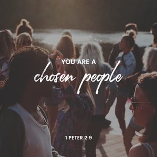 1 Peter 29 But You Are A Chosen People A Royal Priesthood