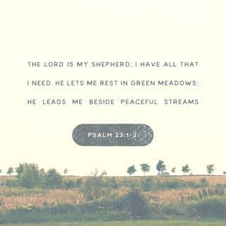 Psalms 231 6 The Lord Is My Shepherd I Shall Not Want He