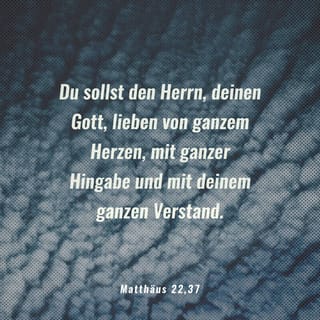 Tag 05 40days Ec Nordbund