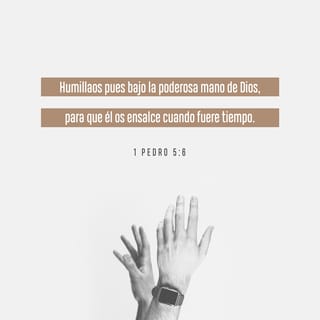 1 Pedro 56 7 Humillaos Pues Bajo La Poderosa Mano De Dios