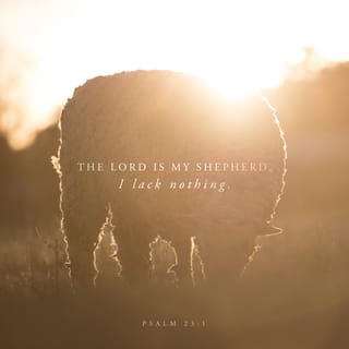 Psalms 23 1 The Lord Is My Shepherd I Shall Not Want King