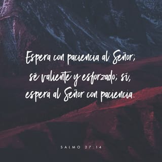 Salmos 271 14 Jehová Es Mi Luz Y Mi Salvación De Quién