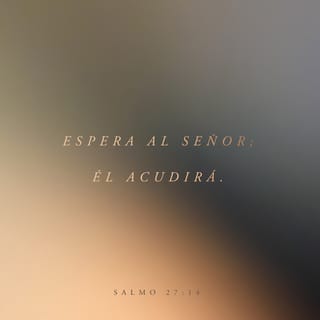 Salmos 271 14 Jehová Es Mi Luz Y Mi Salvación De Quién