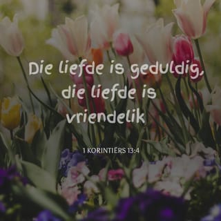 liefde is geduldig