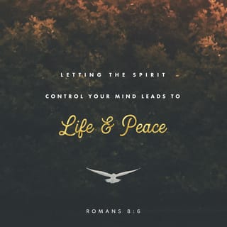 Verse Of The Day Romans 85 8 The Bible App Biblecom