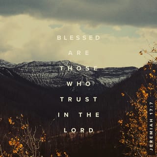Jeremiah 177 But Blessed Is The One Who Trusts In The Lord