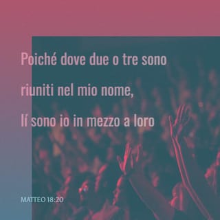 BIBBIA NUOVA RIVEDUTA SCARICA