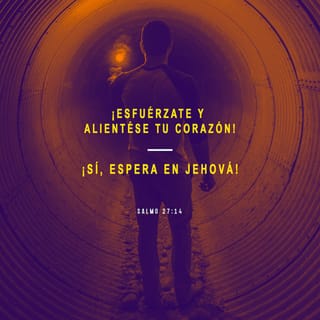 Salmos 271 14 Jehová Es Mi Luz Y Mi Salvación De Quién