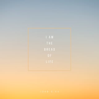Image result for john 6