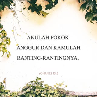 91+ Gambar Pokok Anggur Dan Rantingnya HD 91+ Gambar Pokok Anggur Dan Rantingnya HD