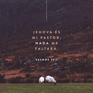 Salmos 231 6 Jehová Es Mi Pastor Nada Me Faltará En