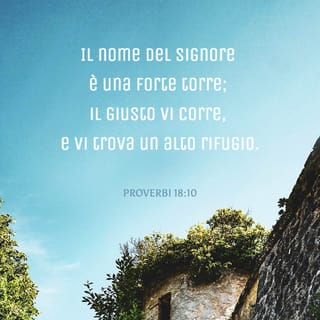 SCARICARE BIBBIA NUOVA DIODATI