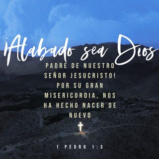 1 Pedro 13 4 Bendito El Dios Y Padre De Nuestro Señor