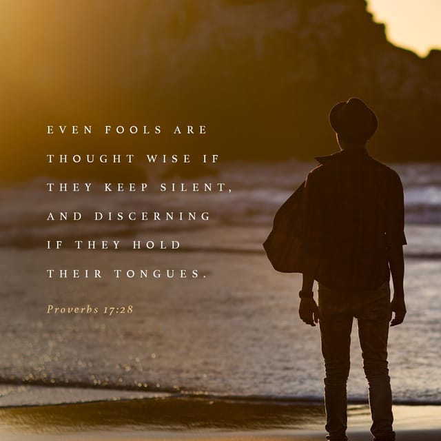 Proverbs 17:28 ASV; Even a fool, when he holdeth his peace, is counted wise; When he shutteth his lips, he is esteemed as prudent.