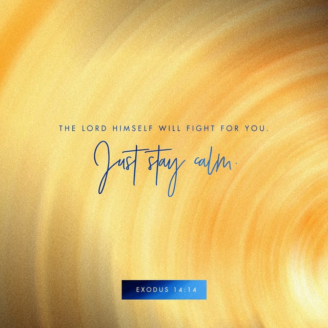 Exodus 14 14 NIV The Lord Will Fight For You You Need Only To Be Still 